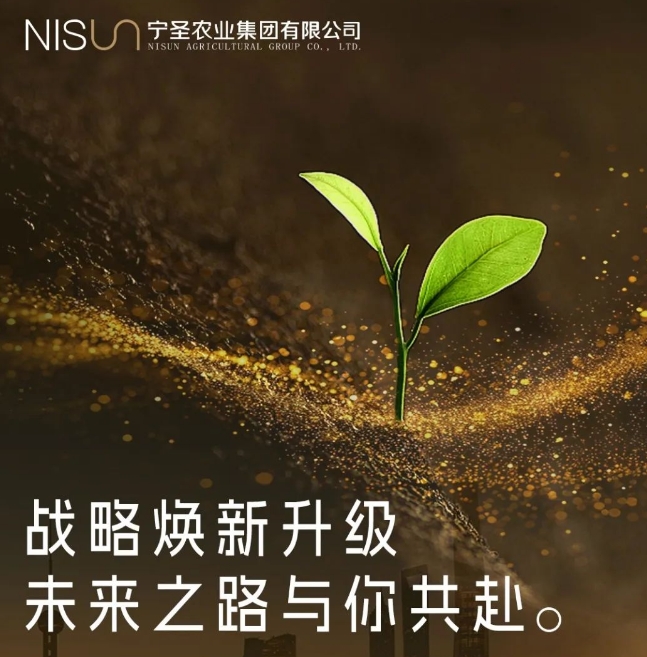 http://www.wnisun.com/nsjt_files/ueditor/upload/image/20240729/1722223316770071978.png